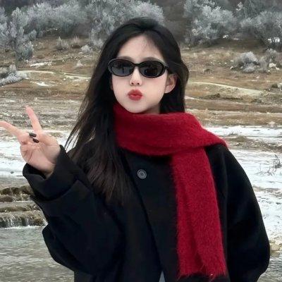 完美计划