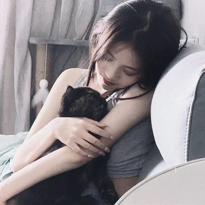 吉姆·加菲根：喜剧怪兽